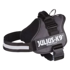 Julius K9 JULIUS-K9® Powertuigje - Antraciet -Exporteren Bitiba winkel 69340 pla trixie julius k9 farbangabe hs 03 15040za 2