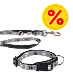 Trixie Set: Halsband Poten Zilver Reflect + Hondenlijn
