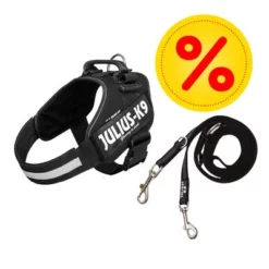 Julius K9 JULIUS-K9 IDC®-Powertuigje Zwart + JULIUS-K9® Rubberen Dubbellijn