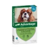 Advantage® 100 Voor Honden 4 - 10 Kg -Exporteren Bitiba winkel 69427 pla pharmasolution advantix advantage 100 hunde 4 10kg hs 01 2 3