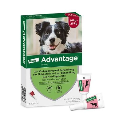 Advantage® 250 Voor Honden 10 - 25 Kg - Afbeelding 2