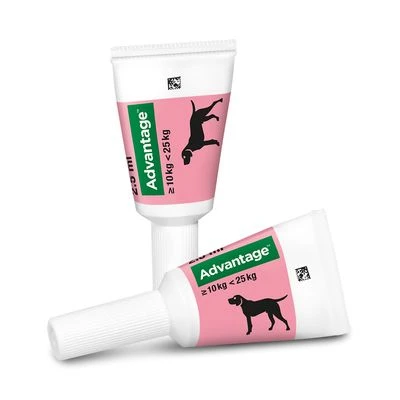 Advantage® 250 Voor Honden 10 - 25 Kg - Afbeelding 3