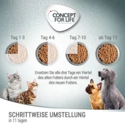 Concept For Life Medium Sterilised Hondenvoer 11 Concept For Life Medium Sterilised Hondenvoer -Exporteren Bitiba winkel 6 cfl board feeding 1000x1000 6