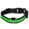 Eyenimal LED-Lichthalsband - Groen -Exporteren Bitiba winkel 70180 pla eyenimal leuchthalsband usb gruen hs 01 0