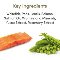 Applaws Adult Zeevis Met Zalm Kattenvoer -Exporteren Bitiba winkel 71009 applaws adult meeresfisch lachs hs 02 5