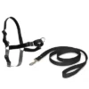 PetSafe Easy Walk Harness