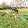 Trixie Dog Activity Agility Loopplank 1 Trixie Dog Activity Agility Loopplank -Exporteren Bitiba winkel 73772 trixie dogactivity agilitysteg hs 01 2