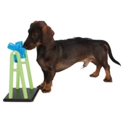 Trixie Dog Activity Turn Around -Exporteren Bitiba winkel 73780 trixie dog activity turn around hs04 8