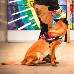 Julius K9 JULIUS-K9 IDC®-Powertuigje - Rood -Exporteren Bitiba winkel 73981 julius k9 idc powergeschirr rot hs6 3