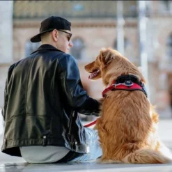 Julius K9 JULIUS-K9 IDC®-Powertuigje - Rood -Exporteren Bitiba winkel 73982 julius k9 idc powergeschirr rot hs11 1