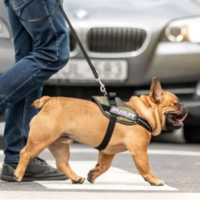 Julius K9 JULIUS-K9 IDC®-Powertuigje - Camouflage 6 Julius K9 JULIUS-K9 IDC®-Powertuigje - Camouflage - Afbeelding 4