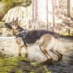 Julius K9 JULIUS-K9 IDC®-Powertuigje - Camouflage 21 Julius K9 JULIUS-K9 IDC®-Powertuigje - Camouflage -Exporteren Bitiba winkel 74075 julius k9 idc powergeschirr camouflage 1 1