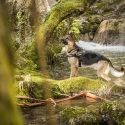 Julius K9 JULIUS-K9 IDC®-Powertuigje - Camouflage 17 Julius K9 JULIUS-K9 IDC®-Powertuigje - Camouflage -Exporteren Bitiba winkel 74075 julius k9 idc powergeschirr camouflage 4 3