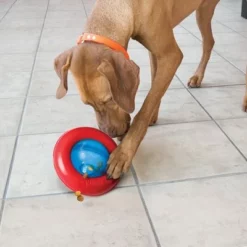 KONG Gyro -Exporteren Bitiba winkel 74248 kong gyro 1