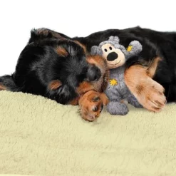 KONG WildKnots Bears -Exporteren Bitiba winkel 74328 kong wildknotsbears hs 02 0