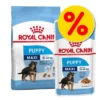 Gemengd Pakket: Royal Canin Maxi Droog- & Natvoer 1 Gemengd Pakket: Royal Canin Maxi Droog- & Natvoer -Exporteren Bitiba winkel 745548 8