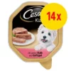 Cesar Multipack Hondenvoer 14 X 150 G -Exporteren Bitiba winkel 745649 6