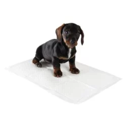 Puppy Trainingspads 17 Puppy Trainingspads -Exporteren Bitiba winkel 75257 puppy trainer pads fg 2 1