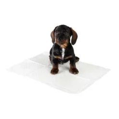 Puppy Trainingspads 20 Puppy Trainingspads -Exporteren Bitiba winkel 75257 puppy trainer pads fg 4 2