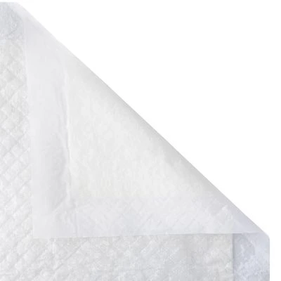 Puppy Trainingspads 11 Puppy Trainingspads - Afbeelding 9