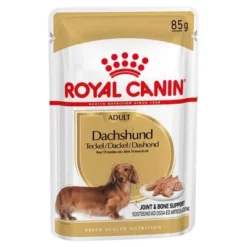 Gemengd Pakket: Royal Canin Hondenvoer - Teckel Adult 7 Gemengd Pakket: Royal Canin Hondenvoer - Teckel Adult -Exporteren Bitiba winkel 77841 pla royal canin breed dachshund 85g 2