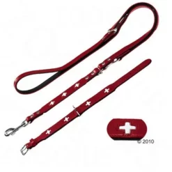 Hunter Set: Halsband Swiss + Hondenriem Swiss -Exporteren Bitiba winkel 78553 hunter swiss leinense 1