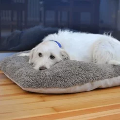 Pawz & Pepper Hondenkussen Denver Ortho -Exporteren Bitiba winkel 78610 petlando pawzpepper hundekissen auroraortho hs 09 5