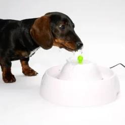 Neptun Drinkfontein -Exporteren Bitiba winkel 80407 trinkbrunnen trevi fg nachschlag 3283 6