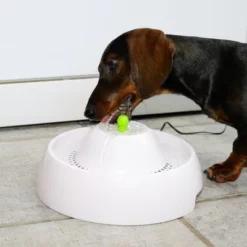 Neptun Drinkfontein -Exporteren Bitiba winkel 80407 trinkbrunnen trevi fg nachschlag 3305 7