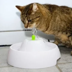 Neptun Drinkfontein -Exporteren Bitiba winkel 80407 trinkbrunnen trevi fg nachschlag 3328 6