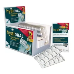 Hyaloral Kleine & Middelgrote Rassen -Exporteren Bitiba winkel 81538 pla gepork hyaloral 270comp 9