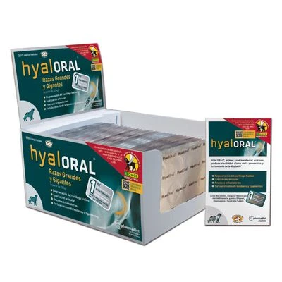 Hyaloral Grote & Zeer Grote Rassen 4 Hyaloral Grote & Zeer Grote Rassen - Afbeelding 2