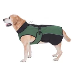 Softshell-Hondenjas Groen 19 Softshell-Hondenjas Groen -Exporteren Bitiba winkel 81644 softshell gruen hund fg 8796 6