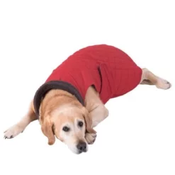 Hondenjas Gewatteerd -Exporteren Bitiba winkel 81645 hundemantel steppmuster hund fg 8625 gespiegelt 3