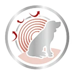 Royal Canin Medium Ageing Hondenvoer In Saus 10 Royal Canin Medium Ageing Hondenvoer In Saus -Exporteren Bitiba winkel 82974 royalcanin medium ageing picto 8