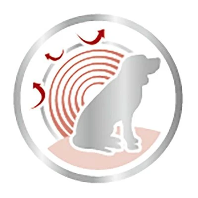 Royal Canin Medium Ageing Hondenvoer In Saus 6 Royal Canin Medium Ageing Hondenvoer In Saus - Afbeelding 4