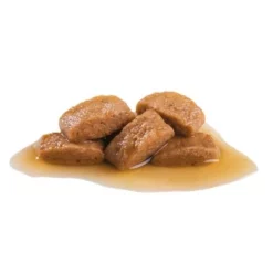 Royal Canin Maxi Adult Hondenvoer In Saus -Exporteren Bitiba winkel 82975 royalcanin maxi adult 2