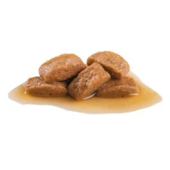 Royal Canin Maxi Ageing 8+ Hondenvoer In Saus 11 Royal Canin Maxi Ageing 8+ Hondenvoer In Saus -Exporteren Bitiba winkel 82976 royalcanin maxi ageing 7