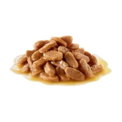 Royal Canin Mini Puppy Hondenvoer In Saus 11 Royal Canin Mini Puppy Hondenvoer In Saus -Exporteren Bitiba winkel 83012 pla royalcanin mini puppy 4