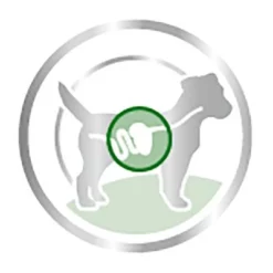 Royal Canin Mini Adult Hondenvoer In Saus 10 Royal Canin Mini Adult Hondenvoer In Saus -Exporteren Bitiba winkel 83013 royalcanin mini adult picto 9