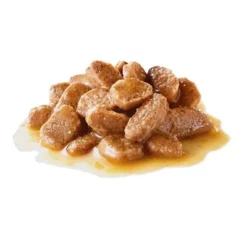 Royal Canin Mini Adult Hondenvoer In Saus 11 Royal Canin Mini Adult Hondenvoer In Saus -Exporteren Bitiba winkel 83013 royalcanin mini adult s 1