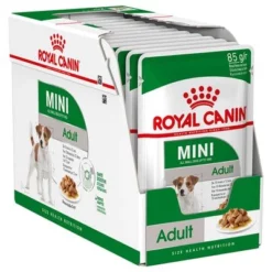 Royal Canin Mini Adult Hondenvoer In Saus 8 Royal Canin Mini Adult Hondenvoer In Saus -Exporteren Bitiba winkel 83013 royalcanin mini adultbox 9