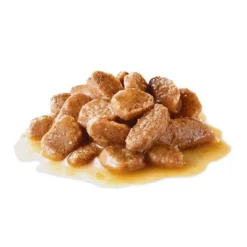 Royal Canin Mini Ageing Hondenvoer In Saus 11 Royal Canin Mini Ageing Hondenvoer In Saus -Exporteren Bitiba winkel 83014 pla royalcanin mini ageing 9