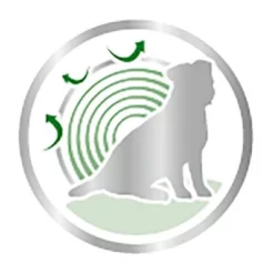 Royal Canin Mini Ageing Hondenvoer In Saus 10 Royal Canin Mini Ageing Hondenvoer In Saus -Exporteren Bitiba winkel 83014 royalcanin mini ageing picto 9