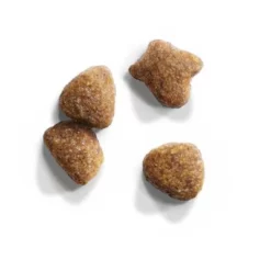 Iams Cat Proactive Health Adult Rijk Aan Kip -Exporteren Bitiba winkel 83508 iams for vitality adult huhn 10kg 3