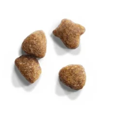 Iams Cat Proactive Health Adult Met Vis -Exporteren Bitiba winkel 83510 iams for vitality adult fisch 10kg 3 9