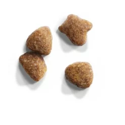 Iams Cat Proactive Health Adult Met Lam 7 Iams Cat Proactive Health Adult Met Lam -Exporteren Bitiba winkel 83704 iams for vitality adult lamm 10kg 2 9