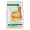 Iams Cat Proactive Health Adult Met Lam -Exporteren Bitiba winkel 83704 pla iams adult mit lamm 10kg hs 01 1