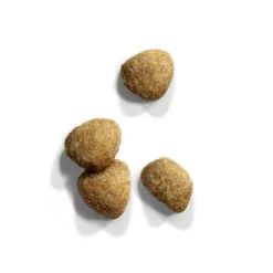 IAMS Cat Adult Sterilised Chicken Kattenvoer -Exporteren Bitiba winkel 83705 iams cat adult sterilised chicken 3kg hs 02 1