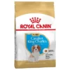 Royal Canin Cavalier King Charles Puppy Hondenvoer 1 Royal Canin Cavalier King Charles Puppy Hondenvoer -Exporteren Bitiba winkel 84453 pla royalcanin puppyhund cavalier 1